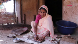 Embedded thumbnail for From Pod to Packet: Processing Tamarind in Bastar