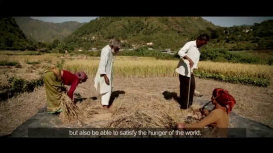 Embedded thumbnail for Baranaja: Twelve Seeds of Sustainability