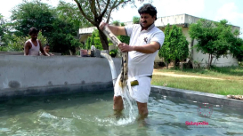 Embedded thumbnail for Kalamkari: The Process