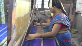 Embedded thumbnail for Chirala Sarees