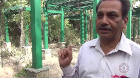 Embedded thumbnail for Walkthrough of Herbal Garden, Yamuna Biodiversity Park