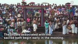 Embedded thumbnail for Final Ceremony of Poorakkali Festival: Pooram Kuli