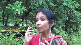 Embedded thumbnail for Interview with Alarmel Valli