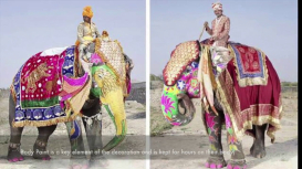 Embedded thumbnail for Decorating Elephants at Hathi Gaon in Rajasthan