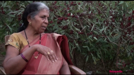 Embedded thumbnail for Gondi Language and Literature: In Conversation with Ushakiran Atram