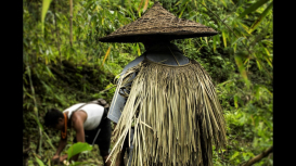 Embedded thumbnail for Hunting Strategies of the Angami Nagas